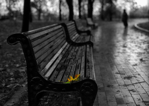 ������ ���