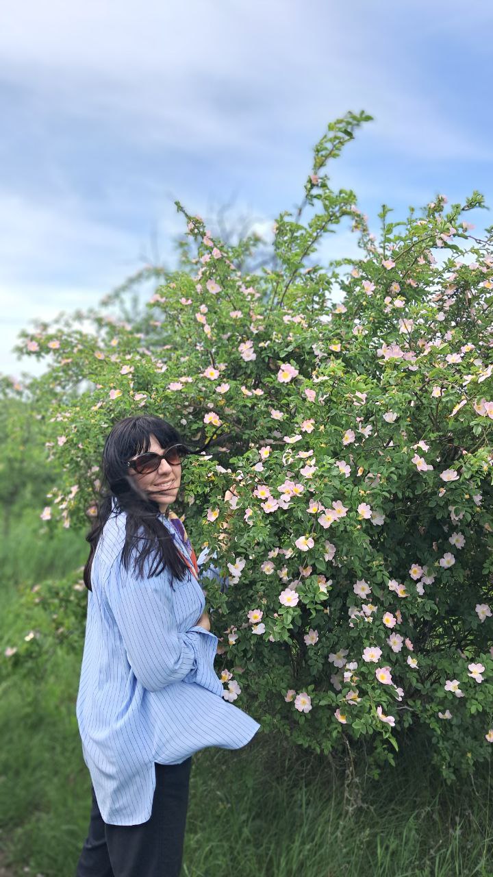 ����� ���������