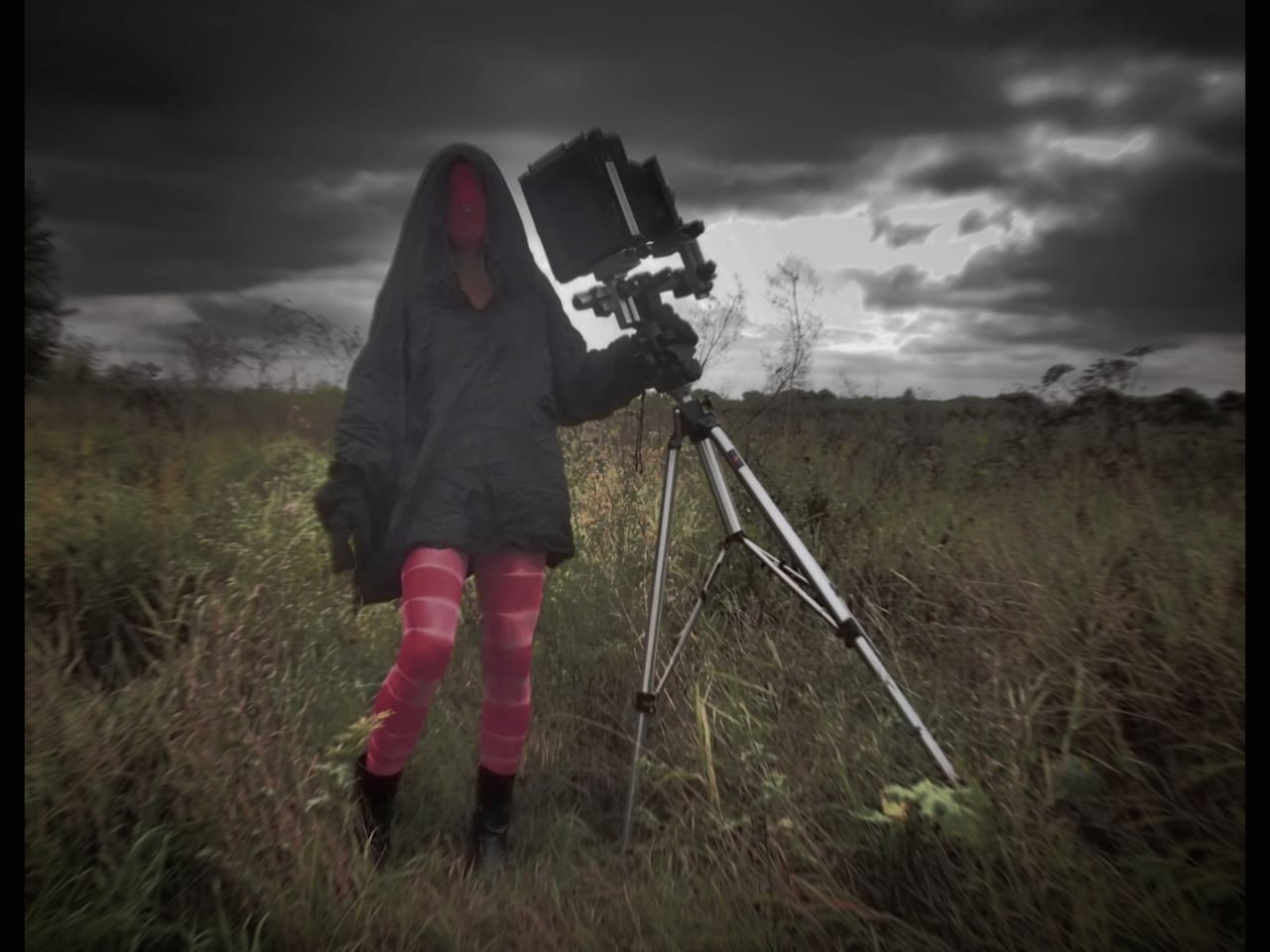 ����� ������