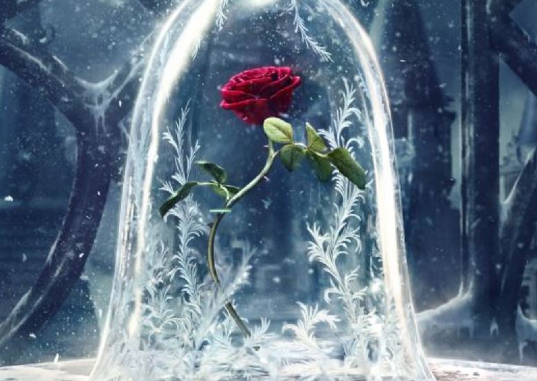 ����� �� ����