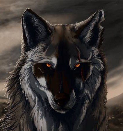 ���� ����