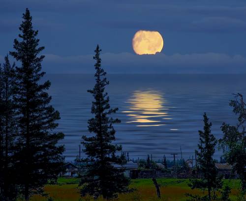 ������� �������