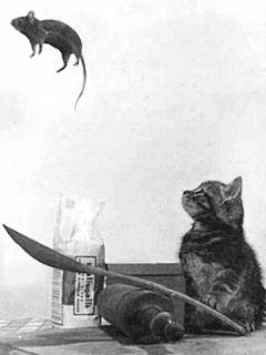 �� �� ����� �� �� ������