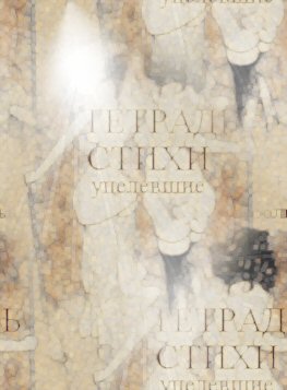 Дикая Нежность