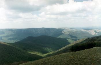 Дикий Скалолаз