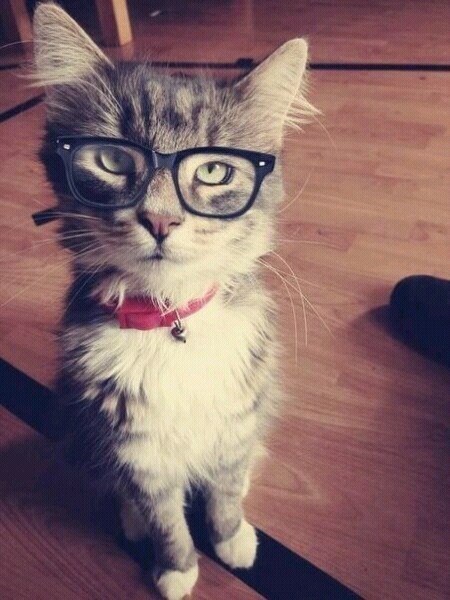 ������� ��������