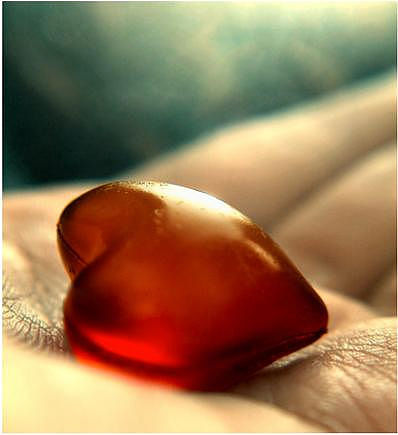 ���� ����