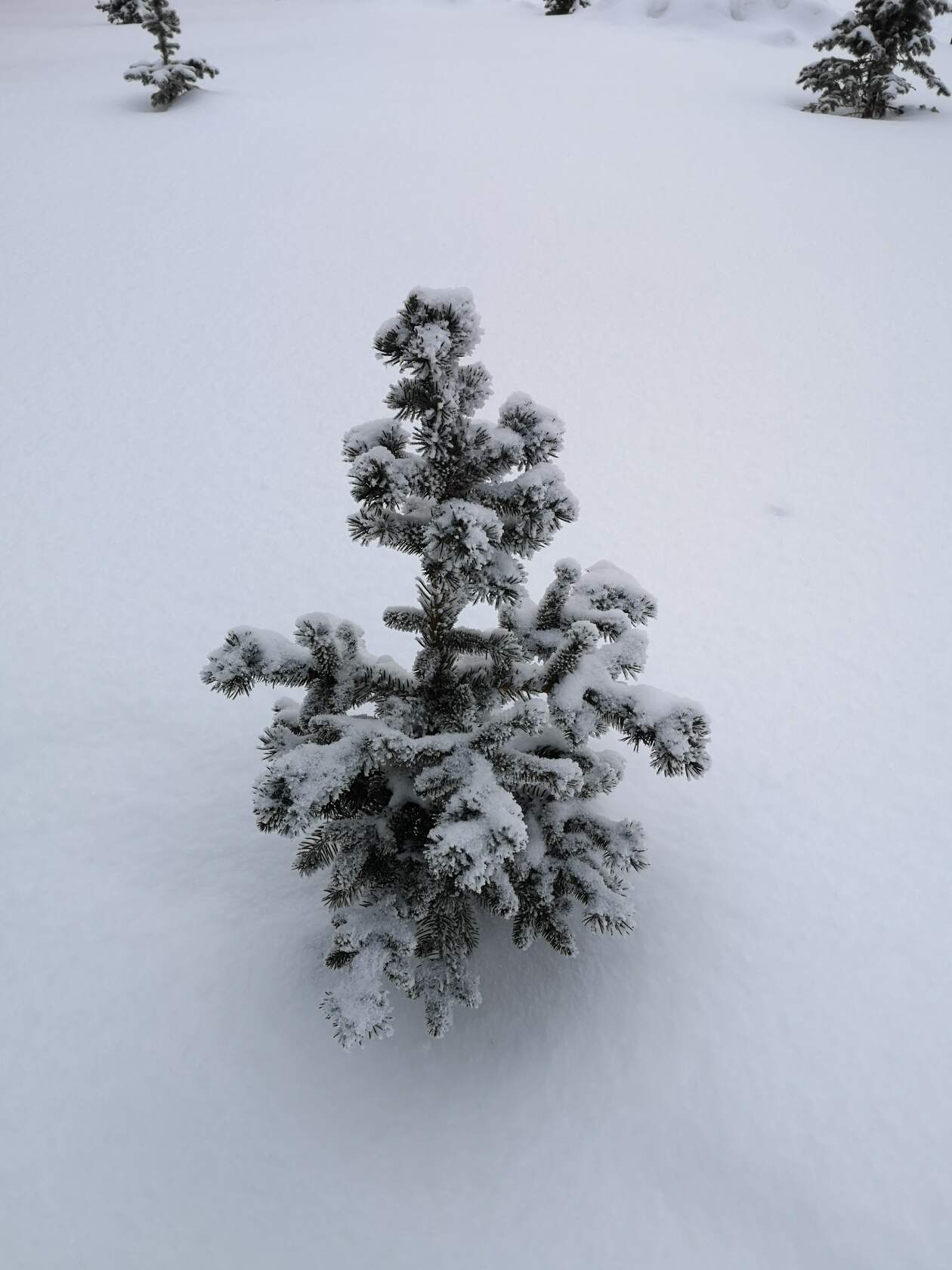 ������ 4