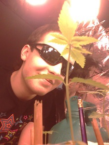 ������� ������� 2