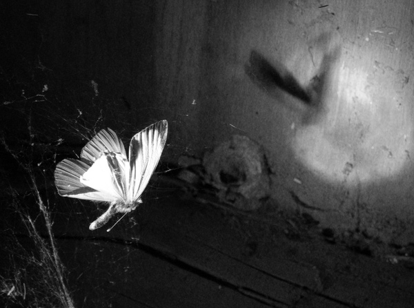 Ярослав Бузинов