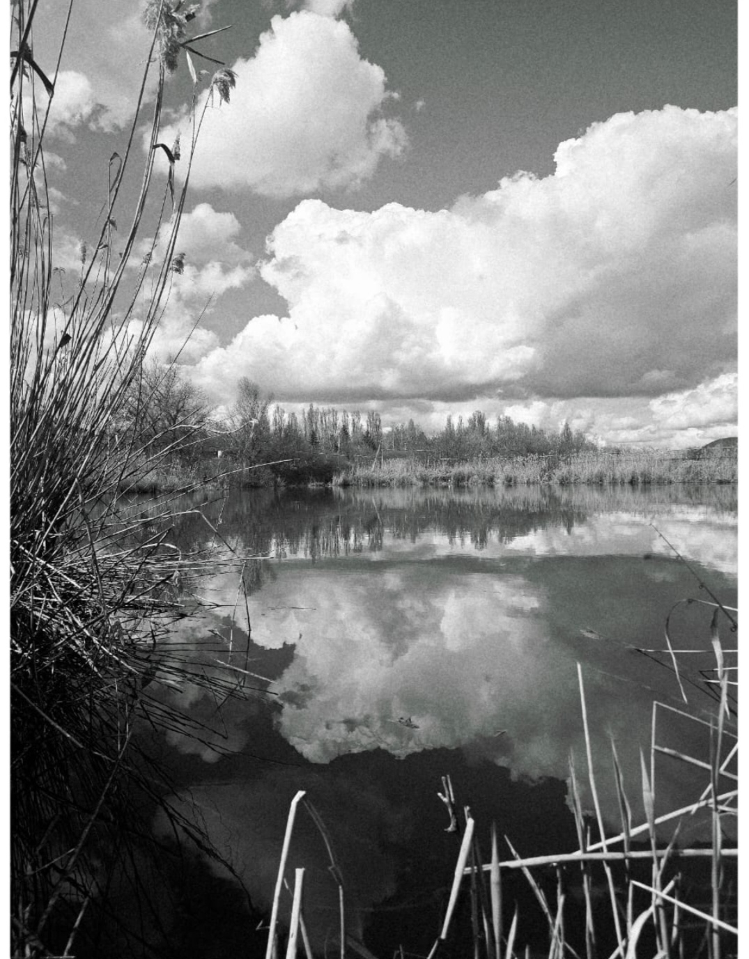 ���� ���