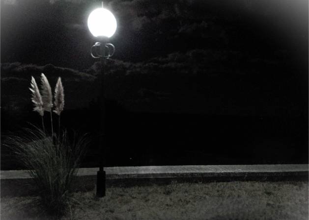 ������� ���������