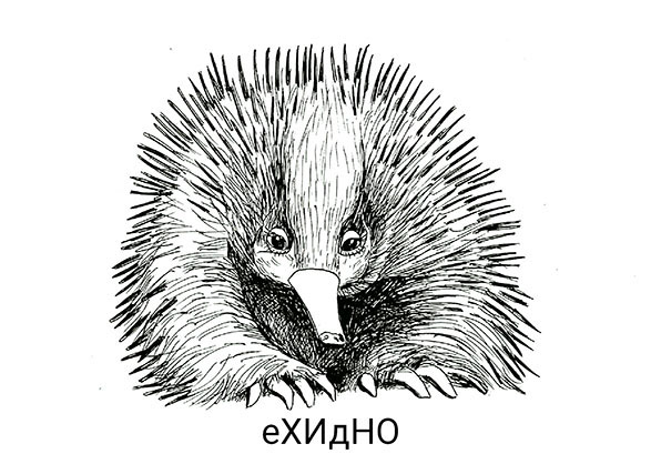 Ехидно