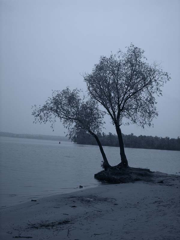 ������ ������