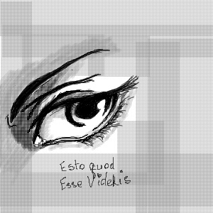 ���� ����