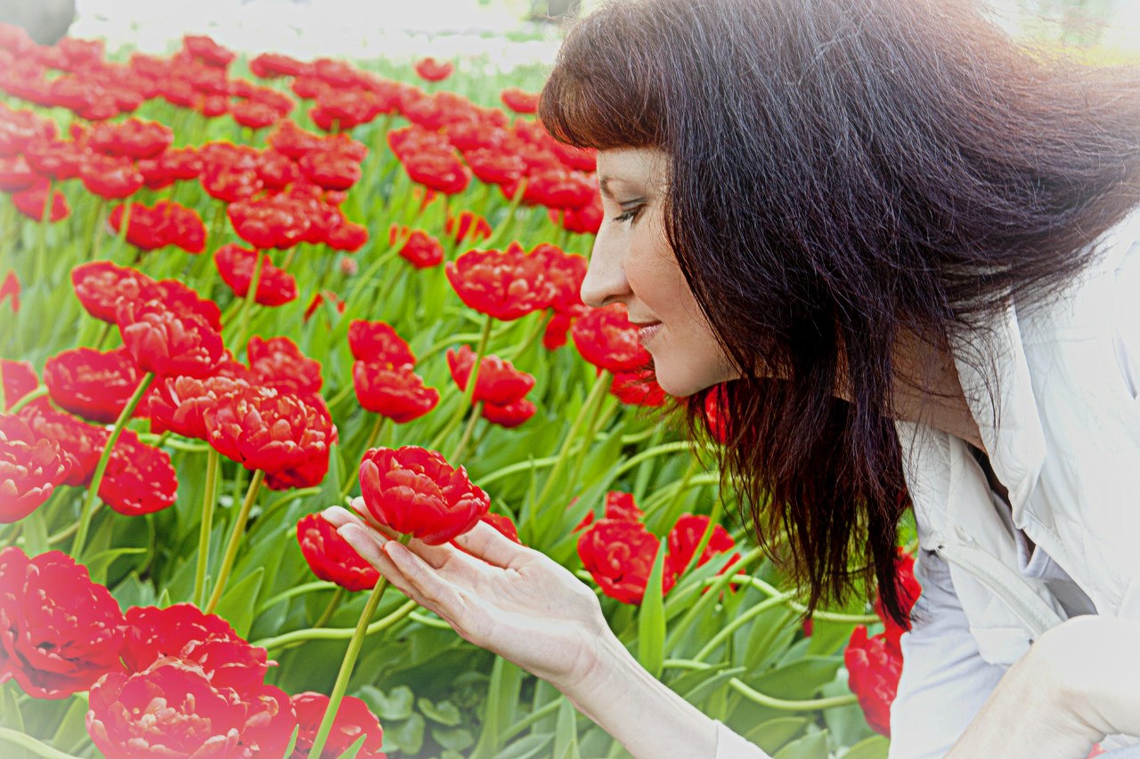 ������� ���������