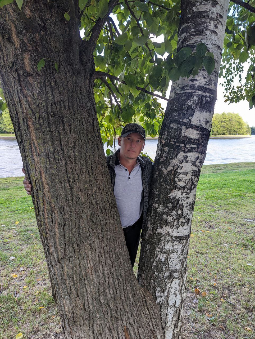 ������ ��������