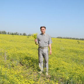 �������� �������