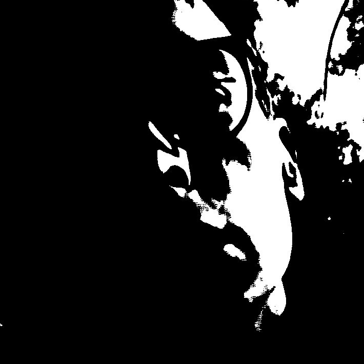 Паша Андреевич