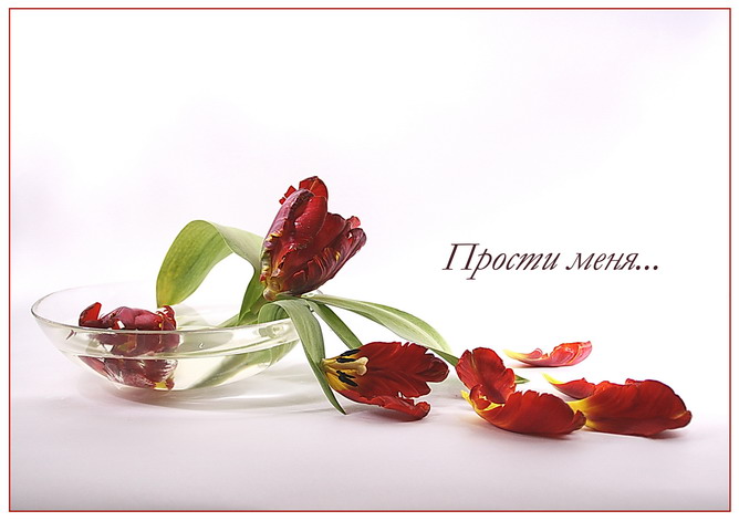 ������ ����