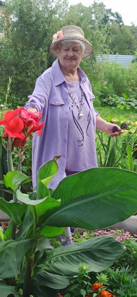 �������� ��������