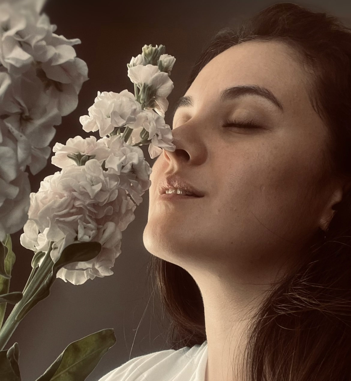 ������ ��������