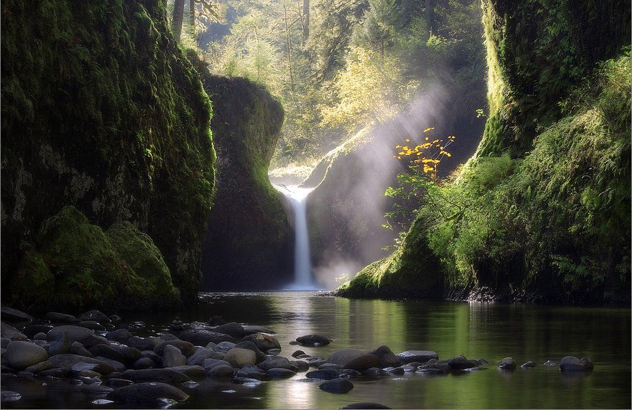 ����� ������