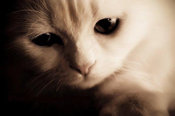 Татьяна Кандратова