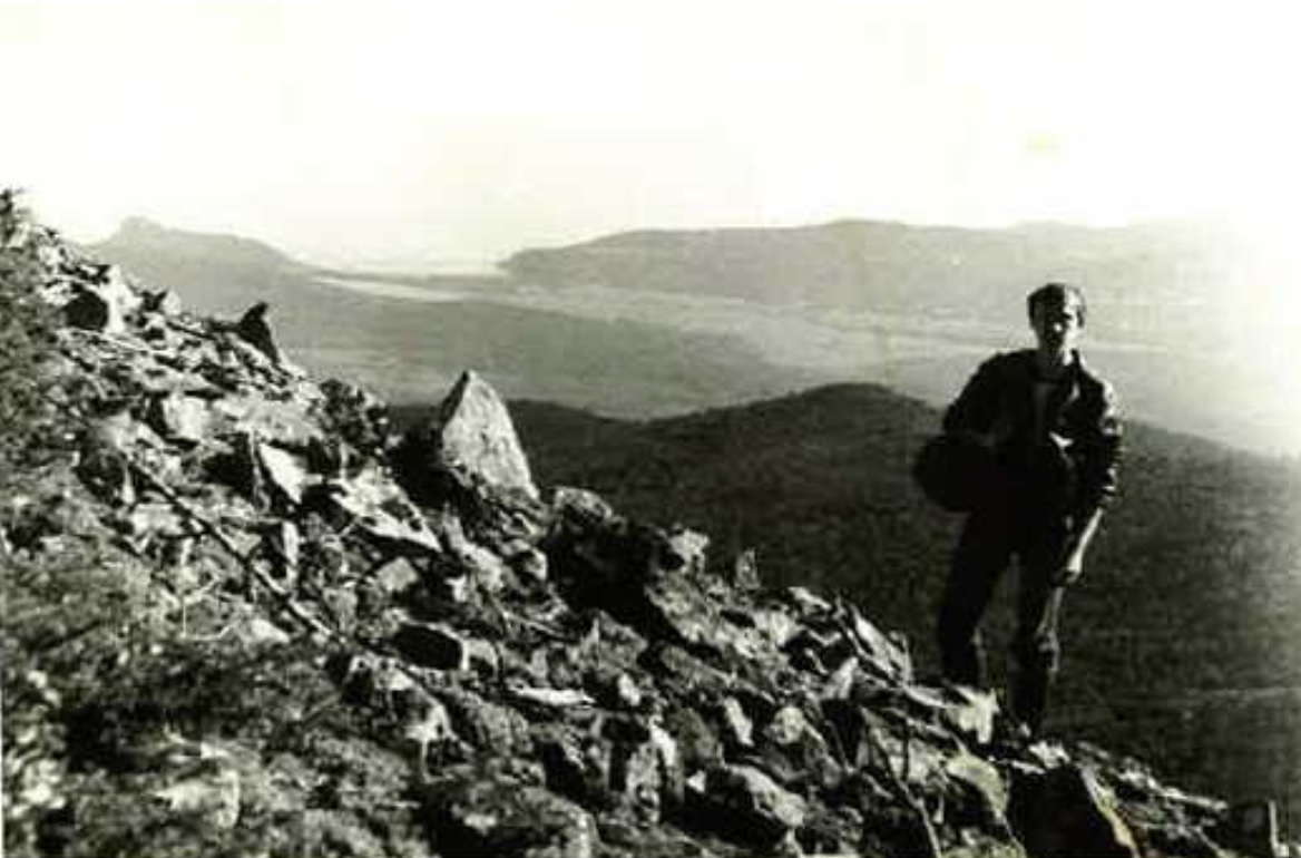 �������� �����������