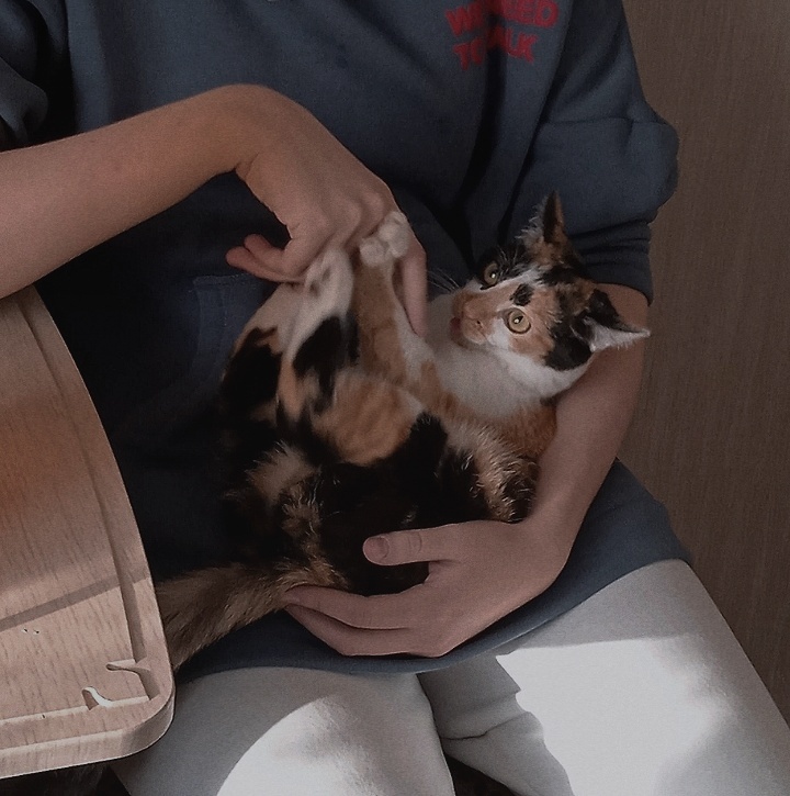 �������� �����