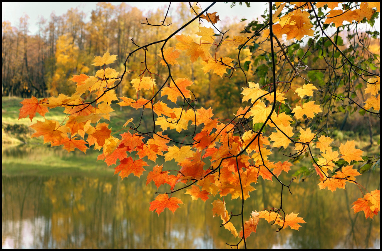 ������� ��������