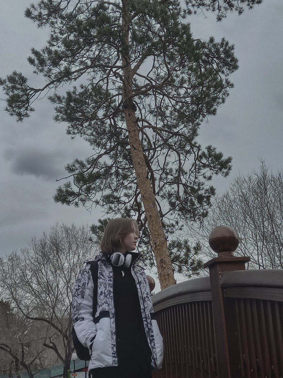 ���� �����