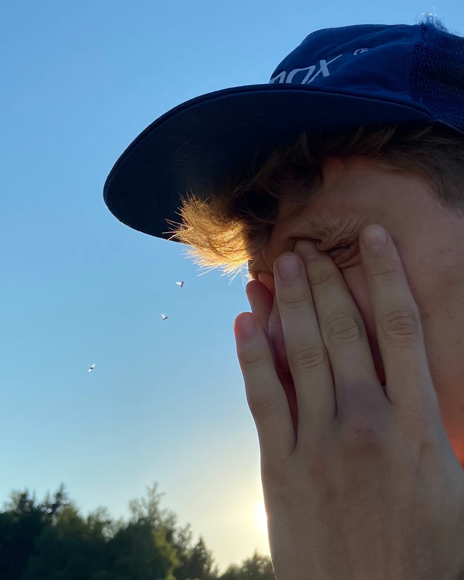 ������ ����������