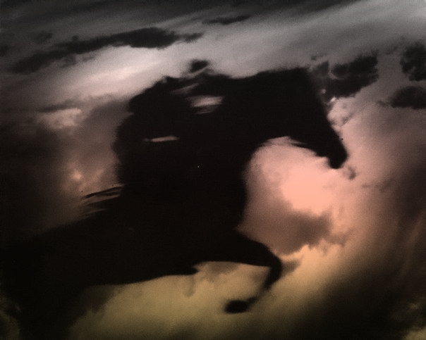 ���� ��������