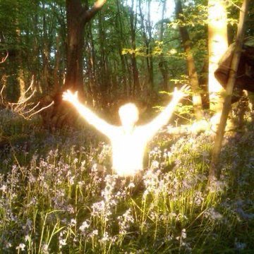 ���� ��������