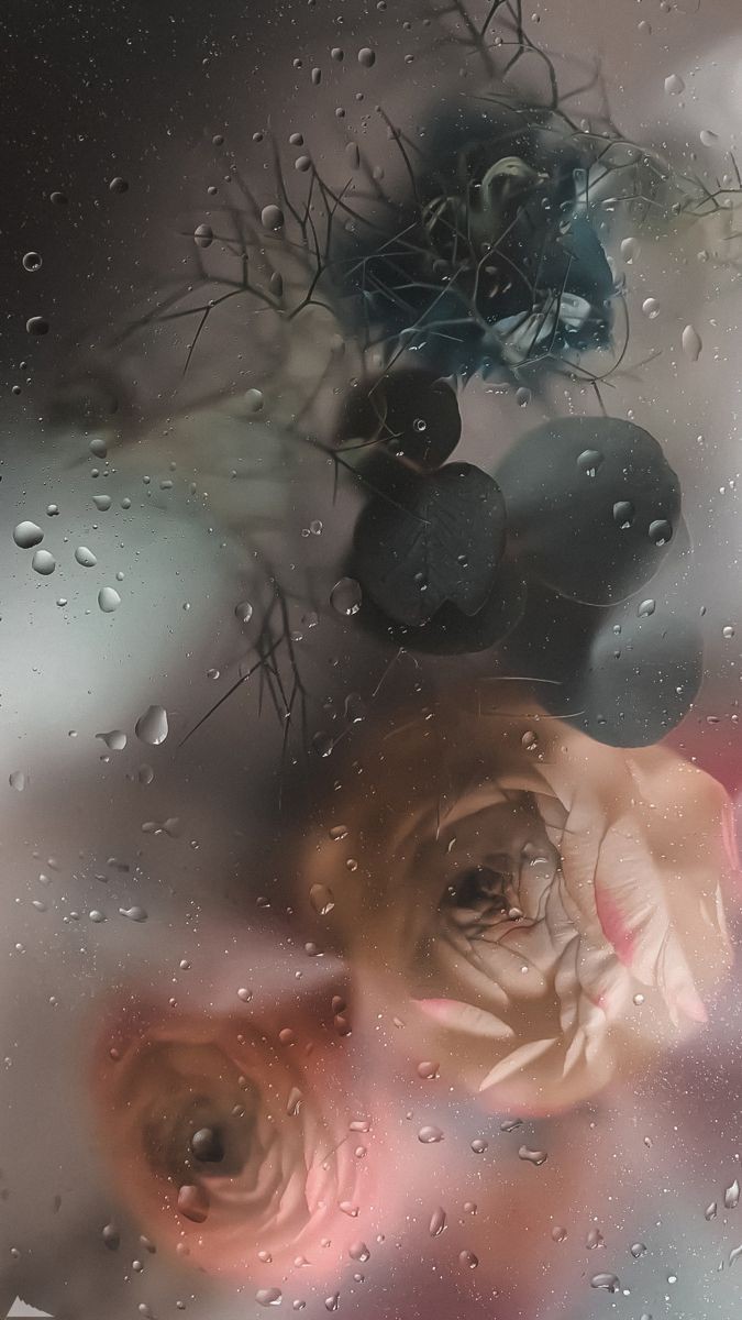 ���� ���������