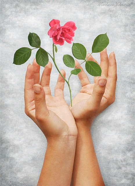 Цвяточек Аленькый