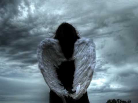 ���� ��������