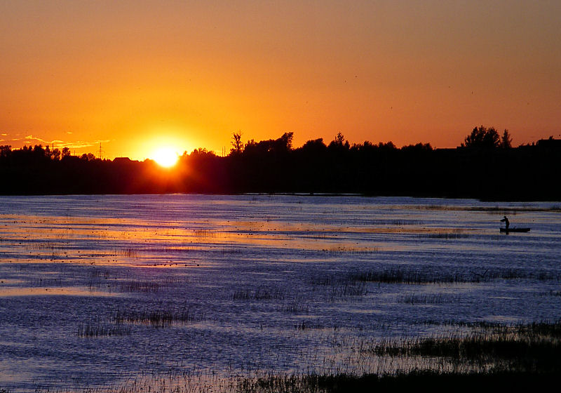 ������ ����