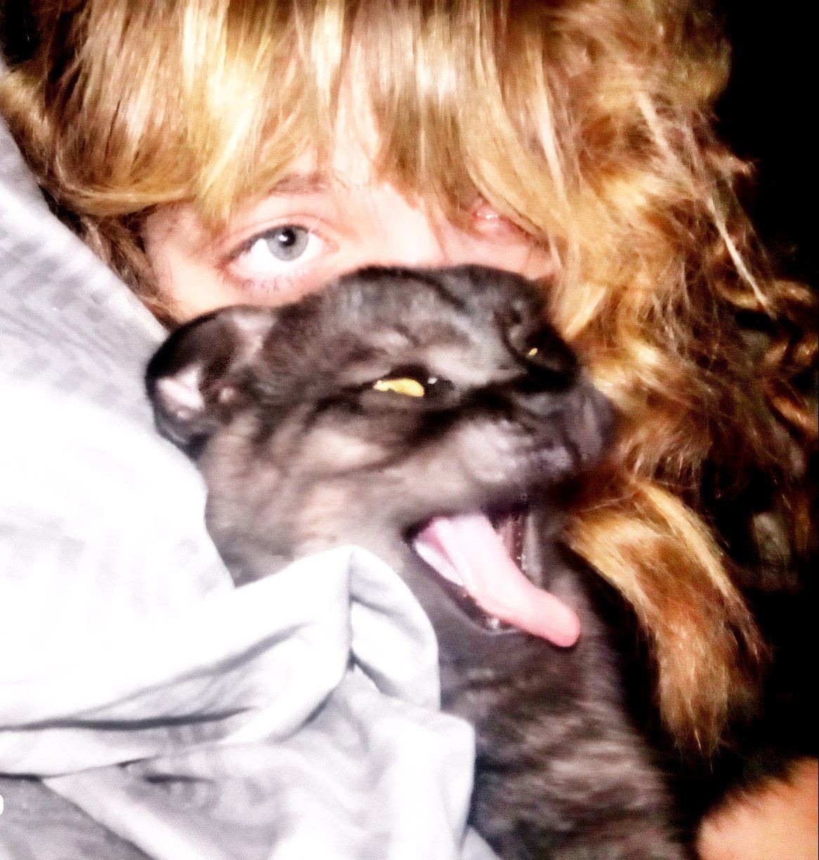 ������ ������� 3