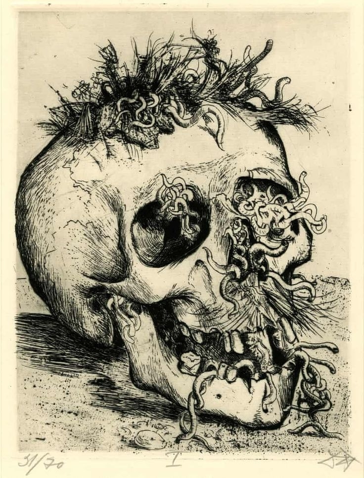 ������ ���������