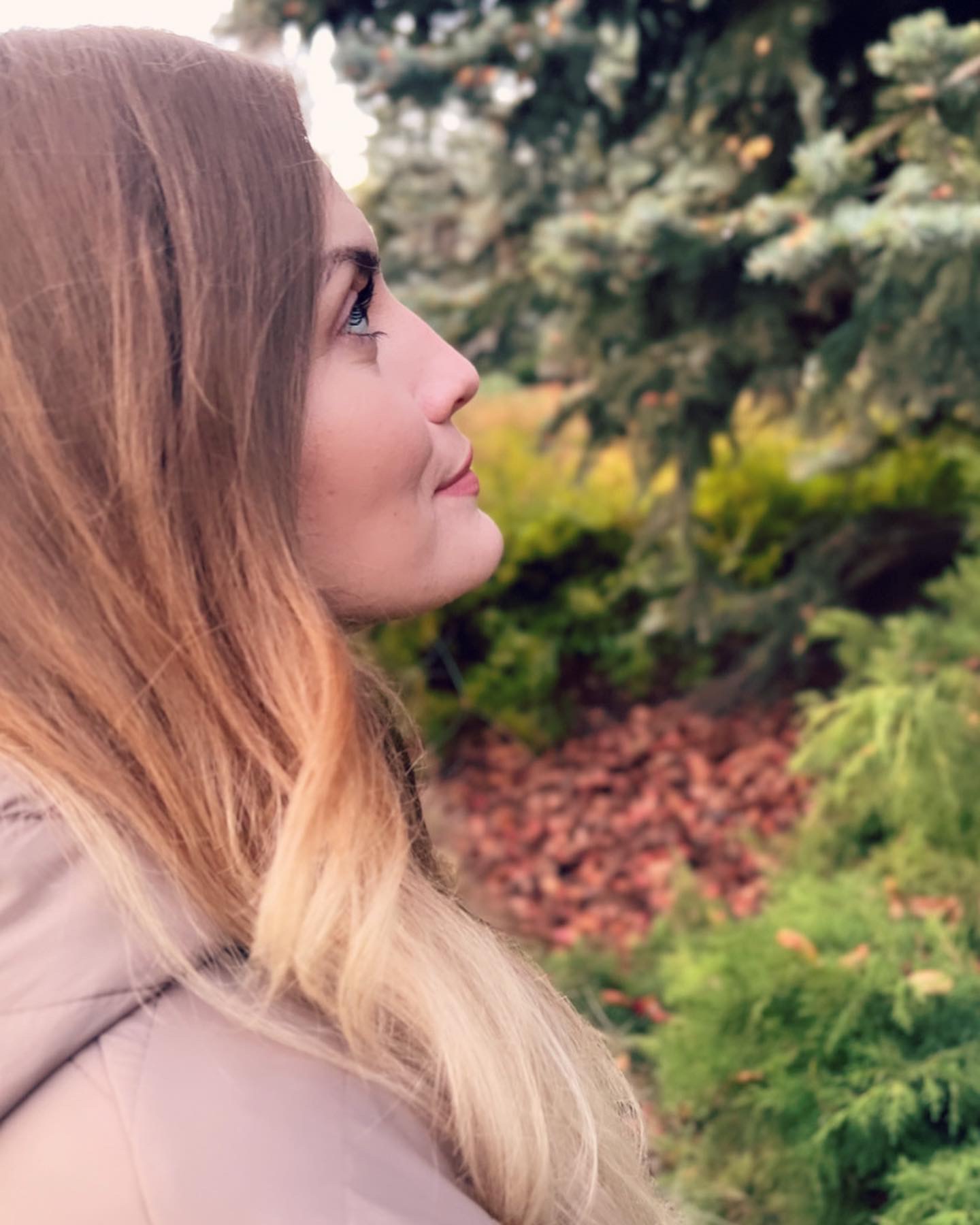 ��������� �������� 88