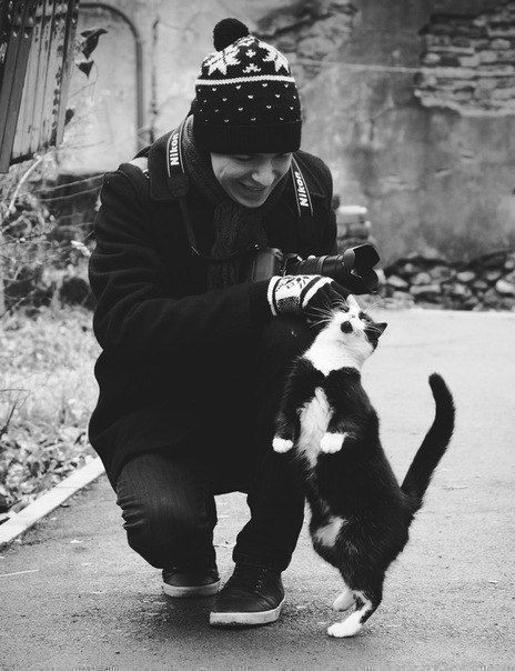 Эрнесто Каулини