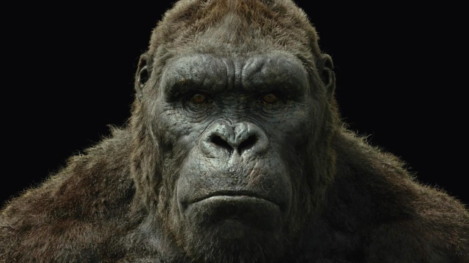 ���� ����