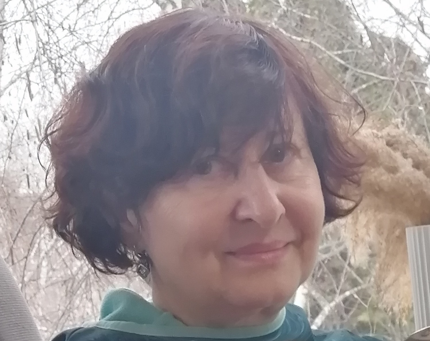 ������ ��������