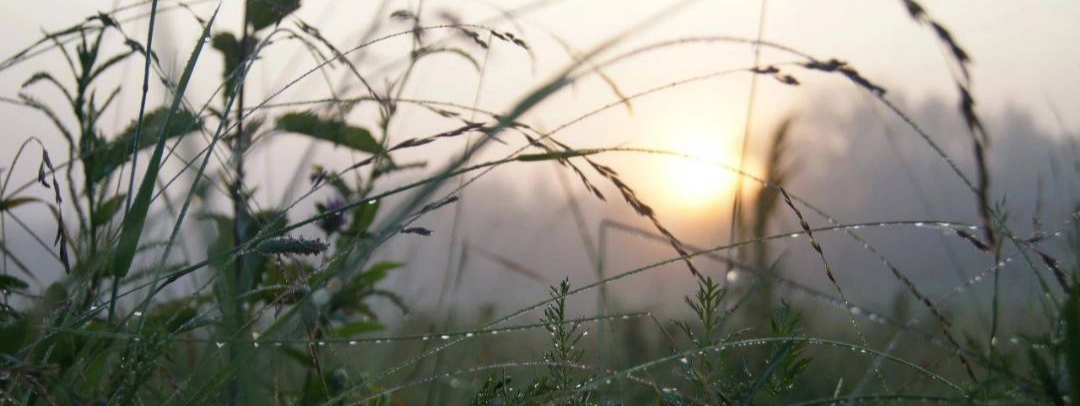 ���� ����������