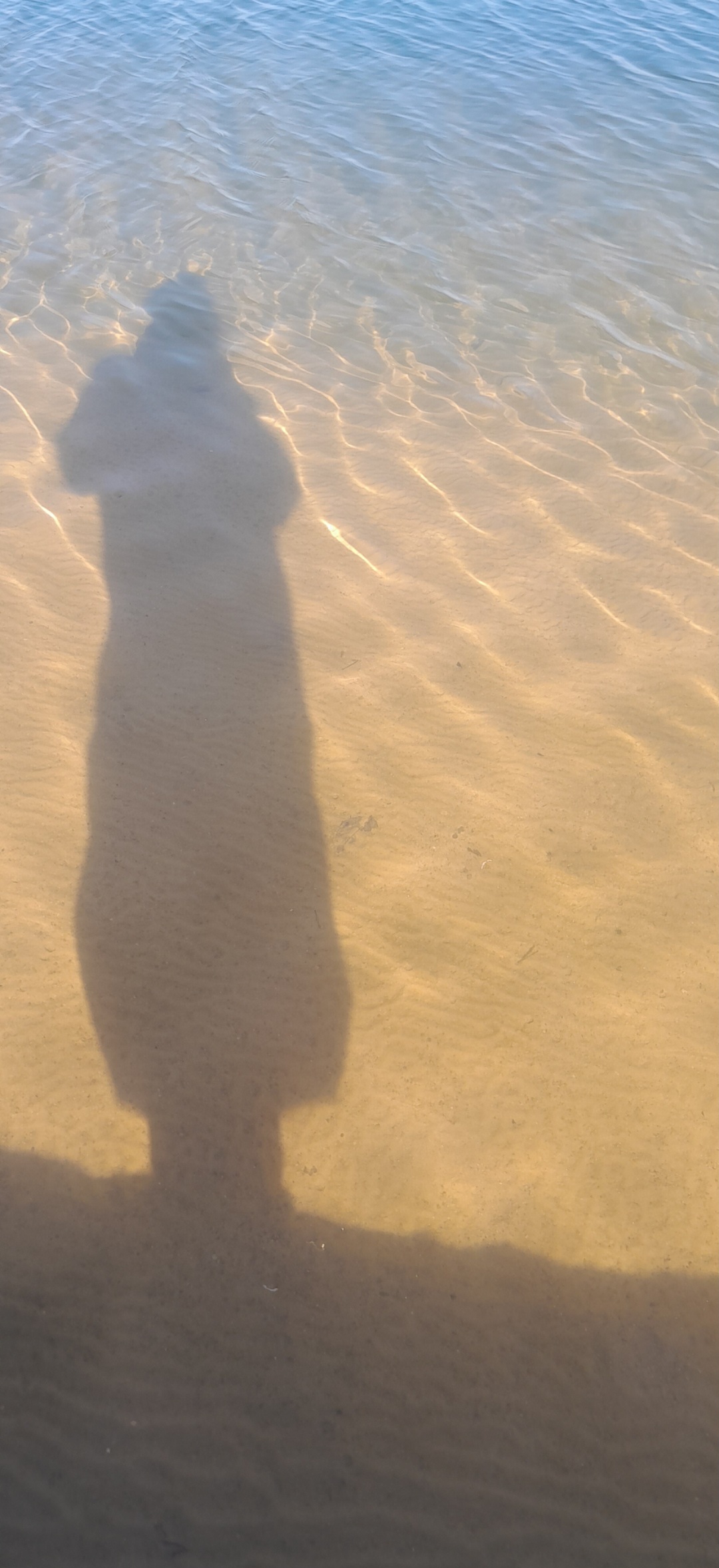 ��� ��������