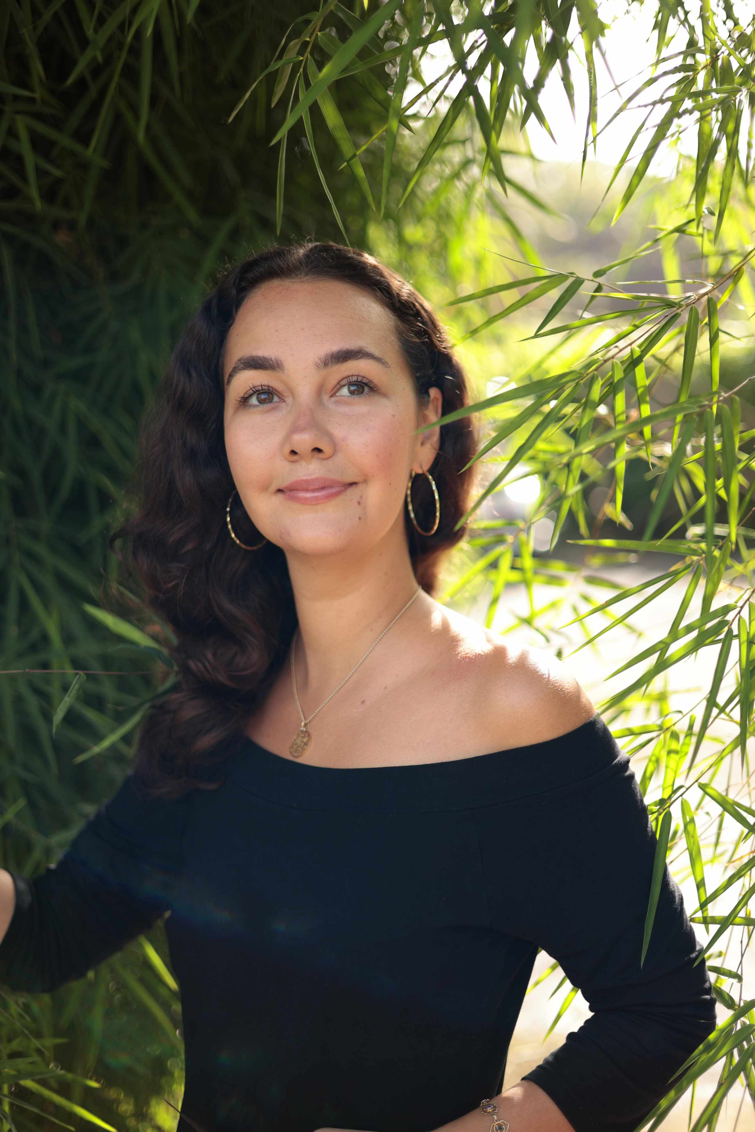 �������� ��������� ���