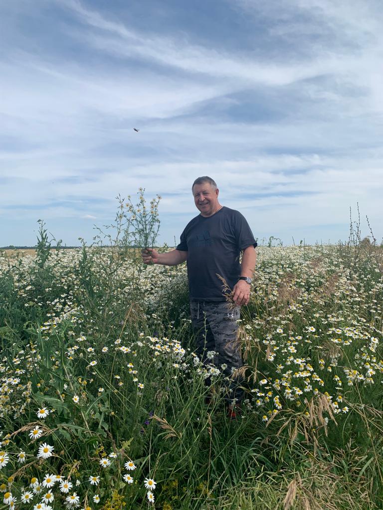 ������� ������-�������