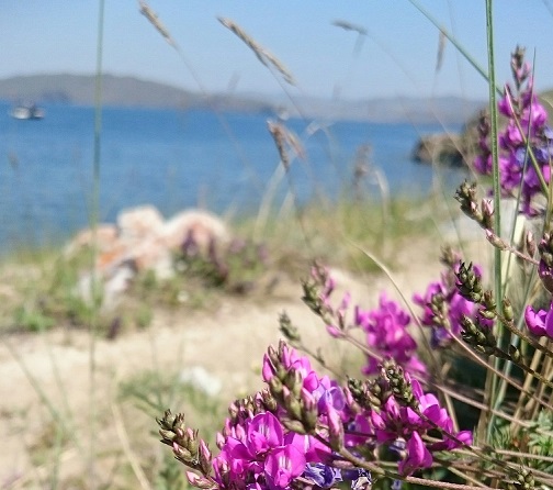 ������� ���������